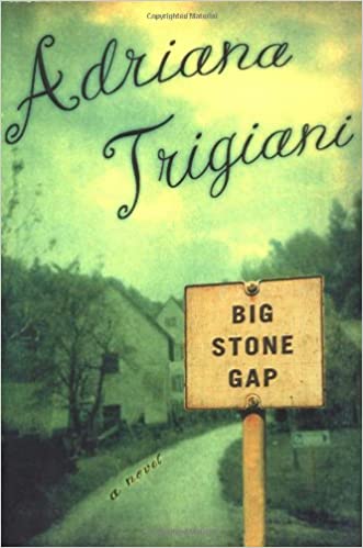 Big Stone Gap Book